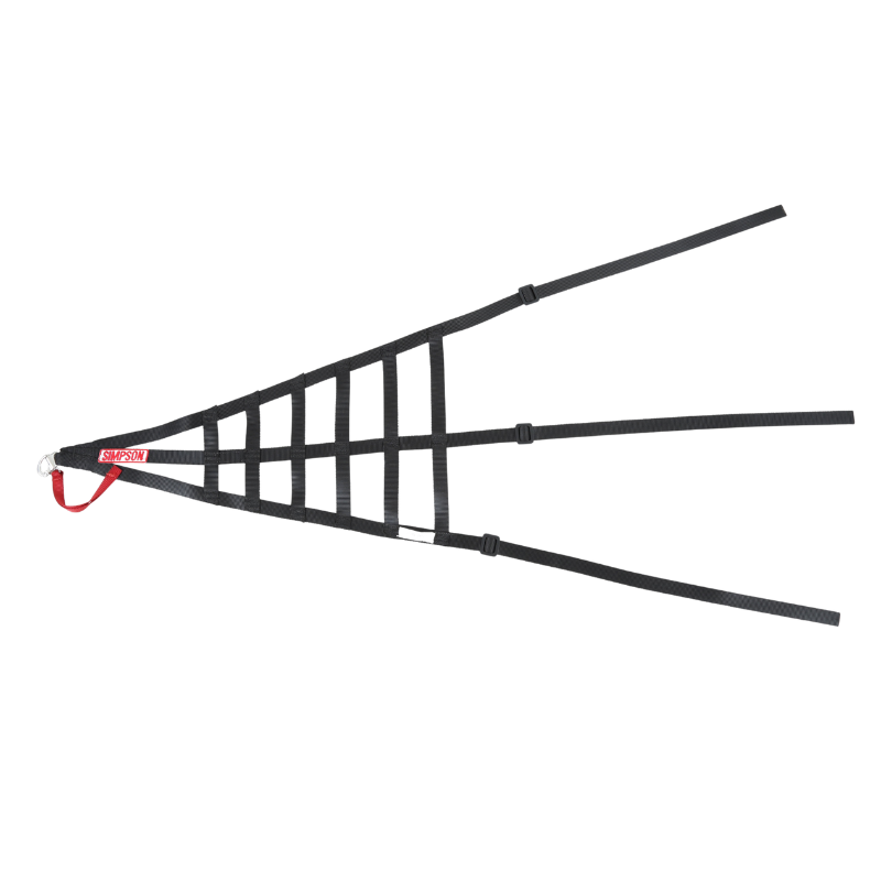 Driver Net Corvette BurtonRacing