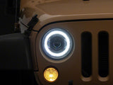 Photo - Close Up