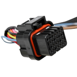4R70W/4R75W 98+ TRANS HARNESS
