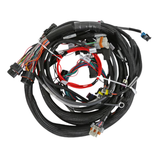 Holley EFI LS1/6 (24x/1x) Engine Main Harness - Extended Length