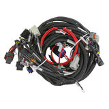 Holley EFI LS2/3/7+ (58x/4x) Engine Main Harness - Extended Length