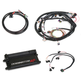Holley EFI Dominator Kit -  Universal Main Harness w/ EV1 Injector Harness