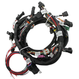 Holley EFI Ford Coyote 11-17 Engine Main Harness w/ Ti-VCT and Stock Coils