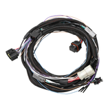 Holley EFI Ford 4R70W/4R75W 98+ Transmission Control Harness