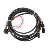 Holley EFI Chrysler HEMI DUAL DBW 13+ Application Throttle Body Harness