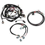 Holley EFI GM LS 58X USCAR/ EV6 Injector Harness Kit