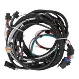 Holley EFI GM GEN V LT4 Engine Main Harness