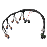 Holley EFI Ford Coyote Ti-VCT Coil Harness (2015.5-2017)