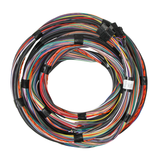 Holley EFI Unterminated 15' Flying Lead Main Harness