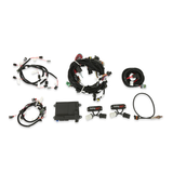 Holley EFI 2V Ford Modular 99-04 HP ECU & Harness Kits - NTK Oxygen Sensor