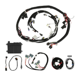 Holley EFI HP ECU & Harness Kits