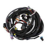 Holley EFI LS1/6 (24x/1x) Engine Main Harness