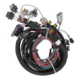 Holley EFI Gen III HEMI Main Harness Late w/ TPS and Idle Air Control Connections