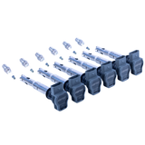 APR Ignition Coil & Spark Plug Kit - 6x (MS100209 / Z1003101) (3.0T EA837) - Grey
