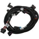 Holley EFI Ford Coyote 13-17 Ti-VCT Sub Harness