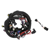 Holley EFI LS2/3/7+ (58x/4x) Engine Main Harness