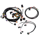 Holley EFI GM LS1/6, 24X Harness Kit