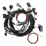 Holley EFI Main Engine Harness for 24x LS w/ TBI