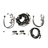 Holley EFI Ford Coyote TI-VCT Harness Kit