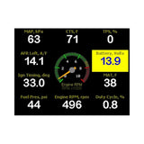 Holley EFI Terminator ECU