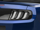 Photo - Close Up