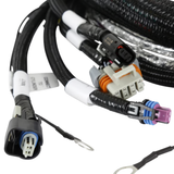 Holley EFI Gen V LT Engine Main Harness
