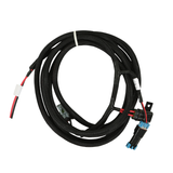 Holley EFI Ford Coyote TI-VCT Harness Kit