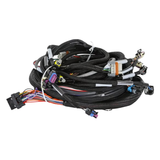 Holley EFI LS1/6 (24x/1x) Engine Main Harness