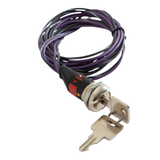 Holley EFI Dominator Multi Map Selector
