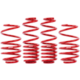 APR Roll-Control Lowering Springs - Volkswagen MK7 / MK7.5 GTI / Golf R 15-21