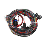 Holley EFI Unterminated Universal Main Harness