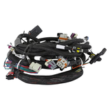 Holley EFI LS2/3/7+ (58x/4x) Engine Main Harness