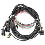 Holley EFI Pro Dash Standalone Service Harness