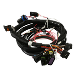 Holley EFI Terminator Main Harness
