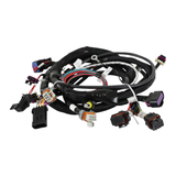 Holley EFI Main Engine Harness for 24x LS w/ TBI