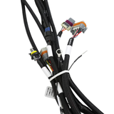 Holley EFI Ford 7.3L Godzilla Main Harness for Smart Coils