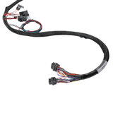 Holley EFI LS1/6 (24x/1x) Engine Main Harness - Extended Length