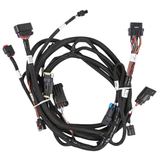 olley EFI Ford Coyote 11-12 Ti-VCT Sub Harness