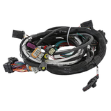 Holley EFI GM GEN V LT4 Engine Main Harness