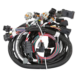 Holley EFI Gen III Hemi Main Harness Early w/ TPS and Idle Air Control Connections