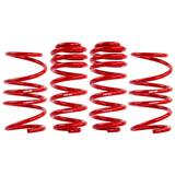 APR Roll-Control Lowering Springs - Volkswagen Golf R (MK8) 22-24