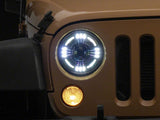Photo - Close Up