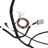Holley EFI TPI/Stealth Ram Main Harness