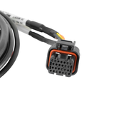 Holley EFI Hemi DBW Harness 13+ Applications (Dominator EFI Only)