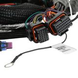Holley EFI Gen V LT Engine Main Harness