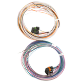 Holley EFI Pro Dash Standalone Service Harness