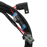 Holley EFI Main Power Harness for Coyote Ti-VCT Applications