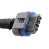 LS COIL SUB HARNESSES