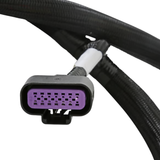 Holley EFI GM GEN V GDI Sub Harness For Early LTx Engines