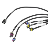 Holley EFI LS2/3/7+ (58x/4x) Engine Main Harness - Extended Length
